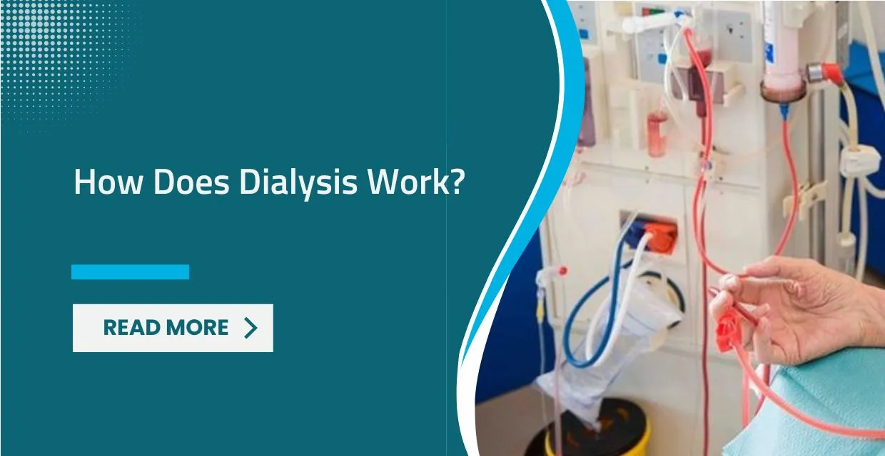 A Bridge to Life: Understanding the Mechanics of Dialysis